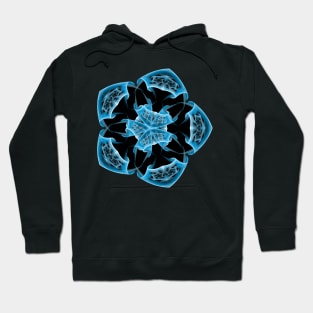 Lucidity Hoodie